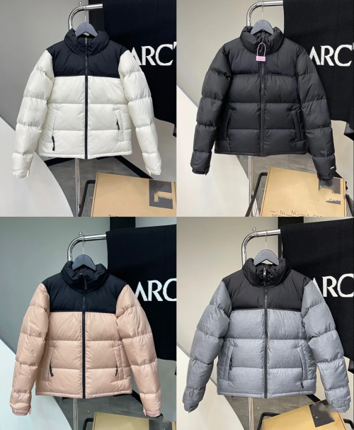 The North Face TNF Nuptse 700 Puffer Down Jacket Multicolor
