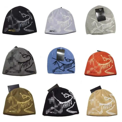 Arc'teryx Bird Head Toque Knit Beanie Winter Hat Multicolor