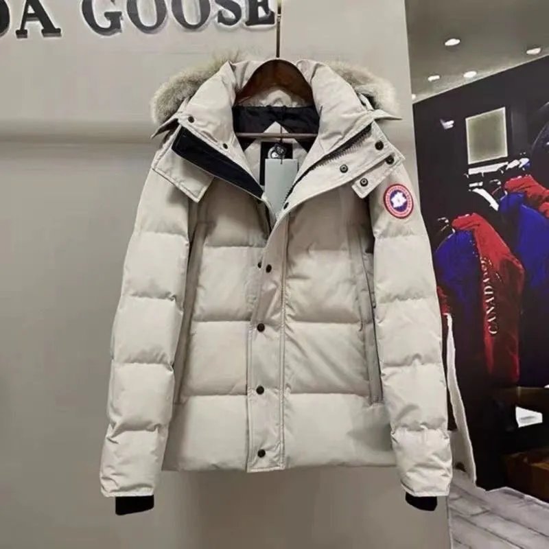 象牙白 象牙白