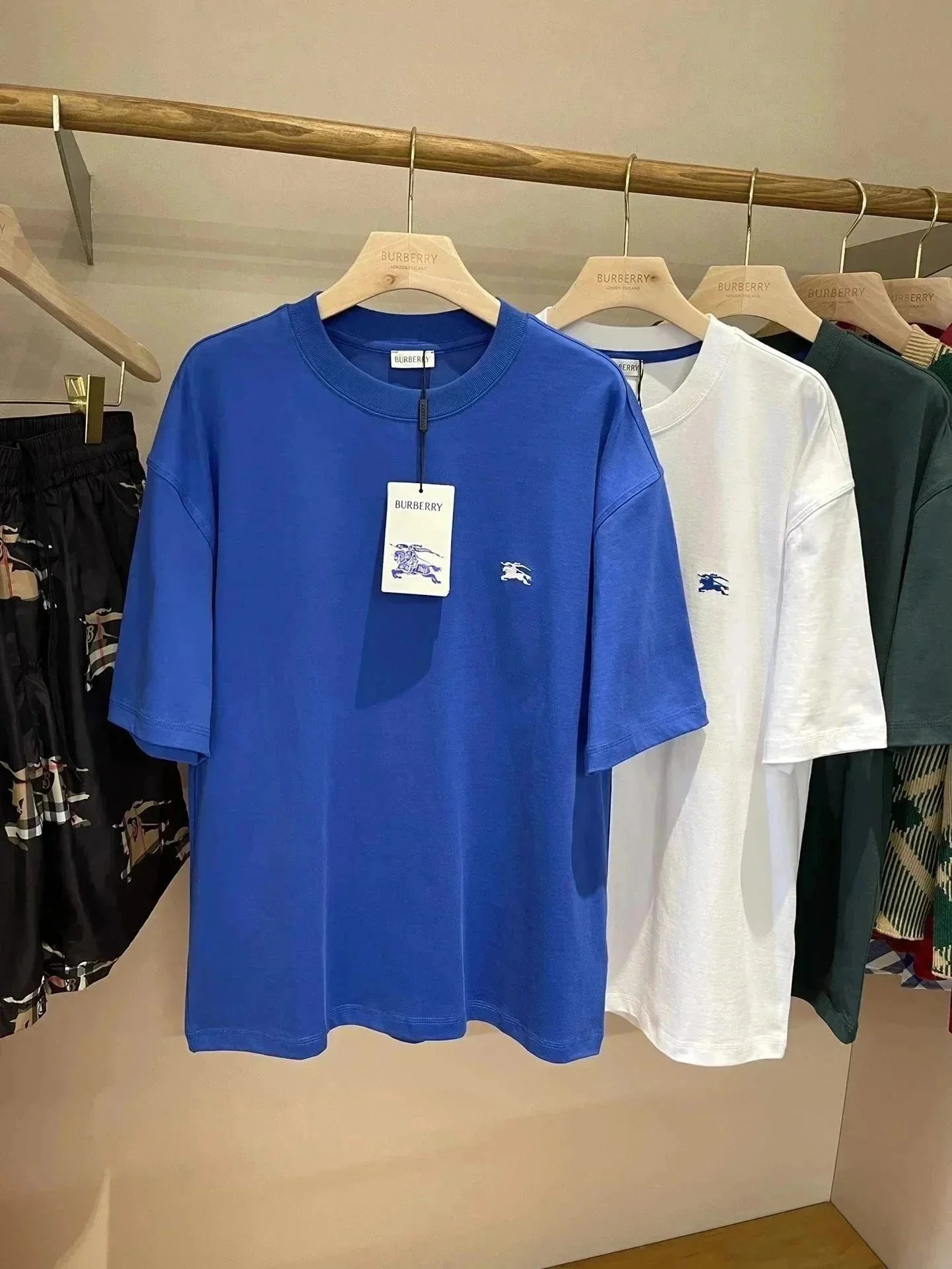 Bur-51 Bur-51