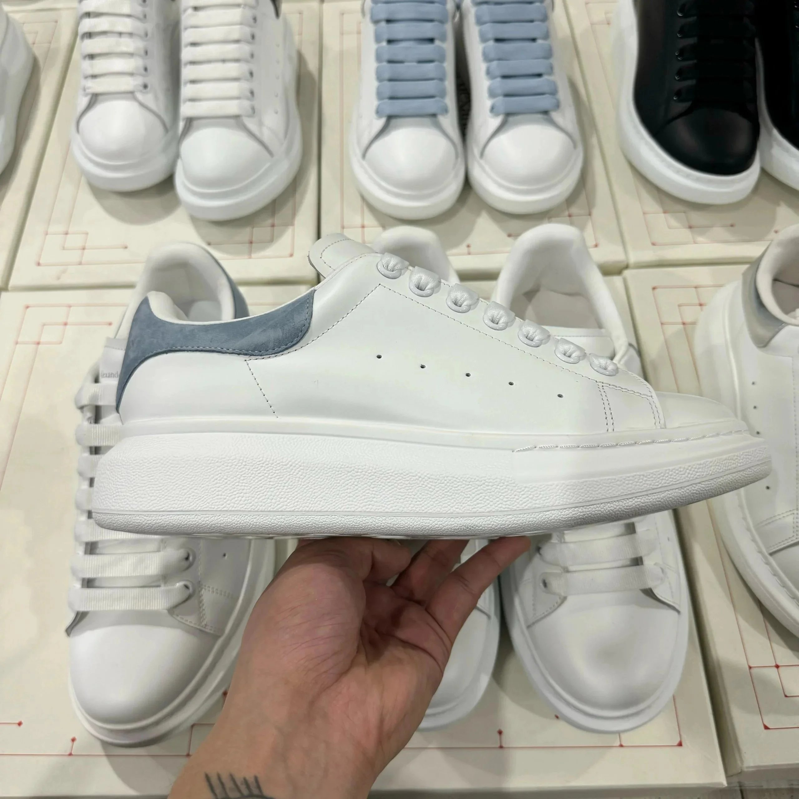 白蓝绒尾 白蓝绒尾