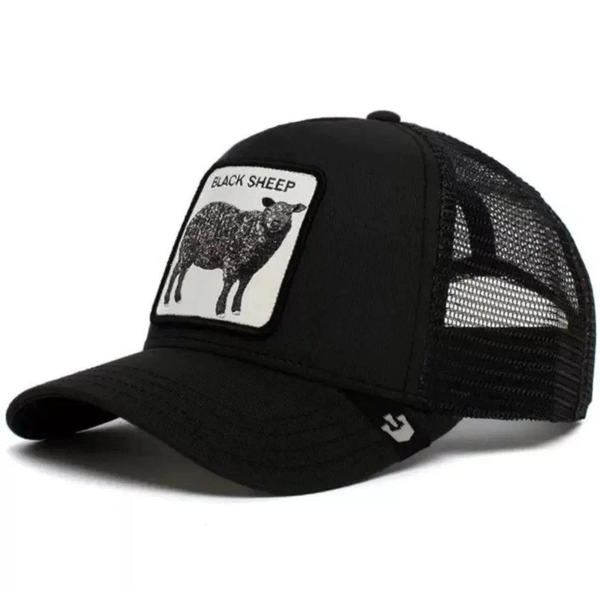 绵羊 黑 绵羊 黑