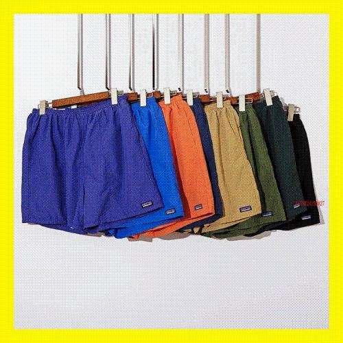 Patagonia Baggies Shorts Casual Nylon Shorts Multicolor