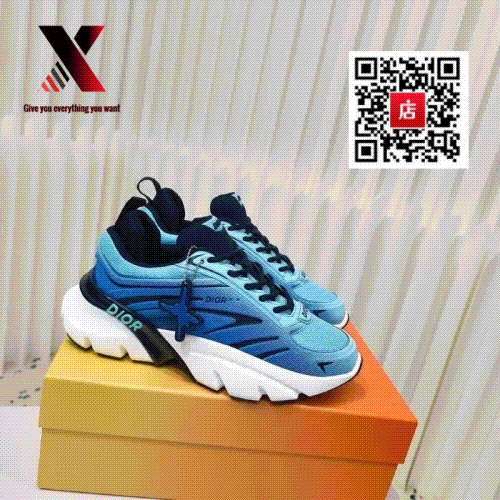 Dior B30 Chunky Sneakers Blue and White