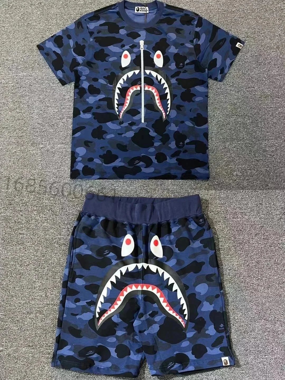 31 31