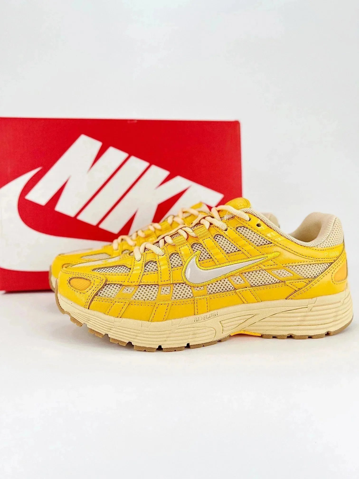 31 31
