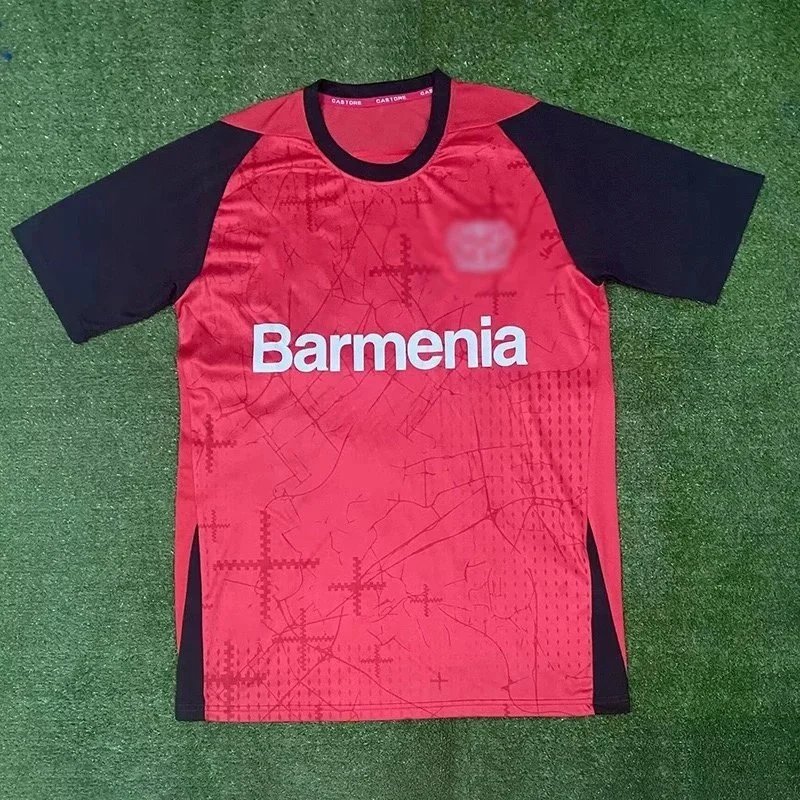 勒沃库森主场 勒沃库森主场