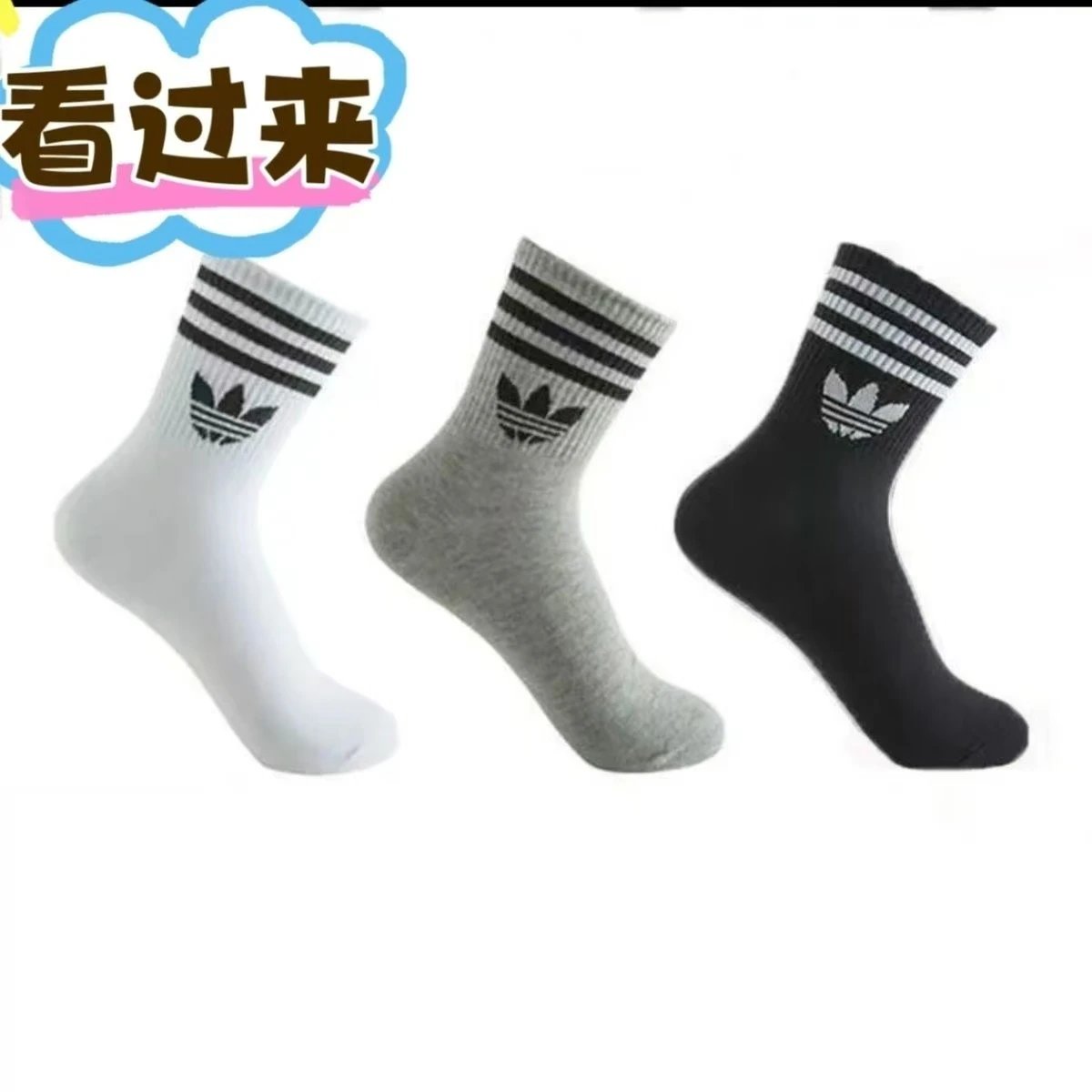 中筒 中筒