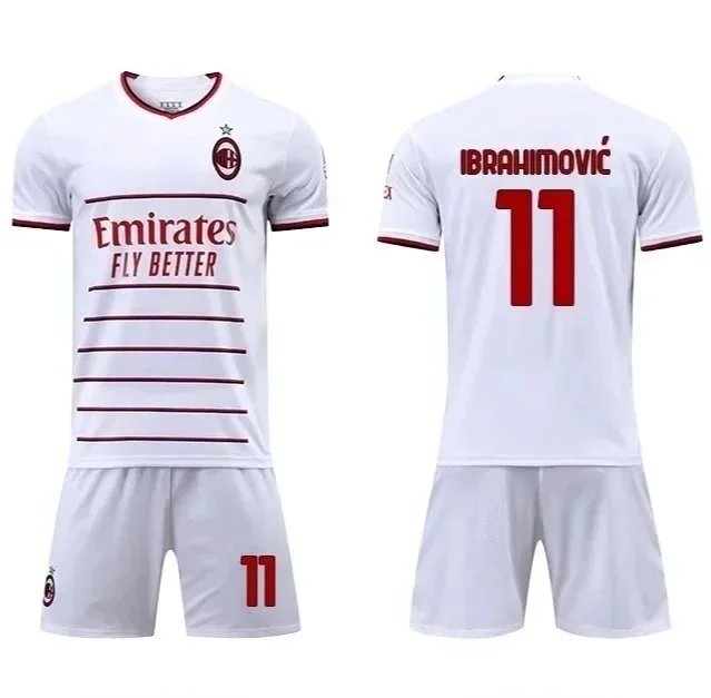 04伊布 04伊布