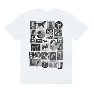 16 16