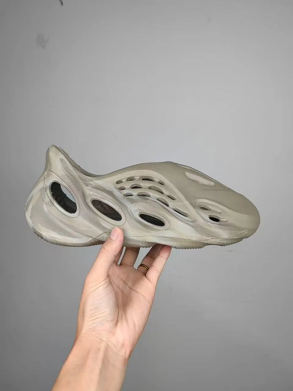 鼠尾草(GX4472) 鼠尾草(GX4472)